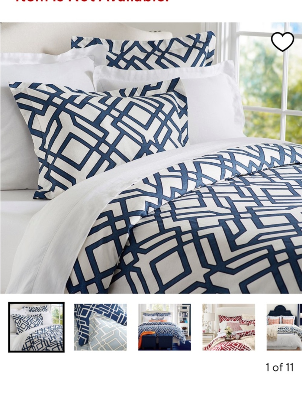 Pottery Barn (QN) Duvet Cover & Shams